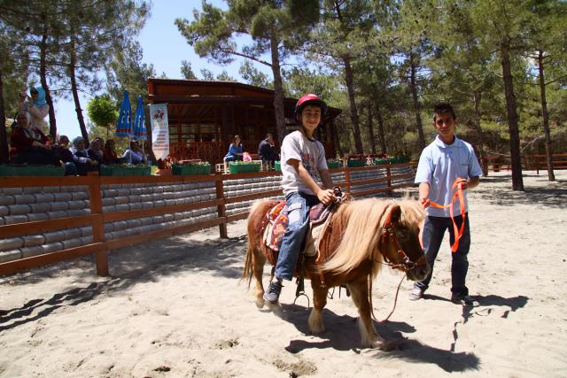 Çocuklar Hayvanat Bahçesinde Ata Binmeyi Öğreniyorlar    