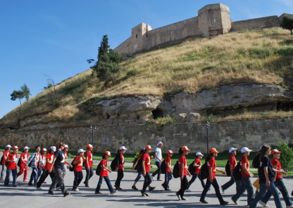 Gaziantepi Karıncalar Bastı