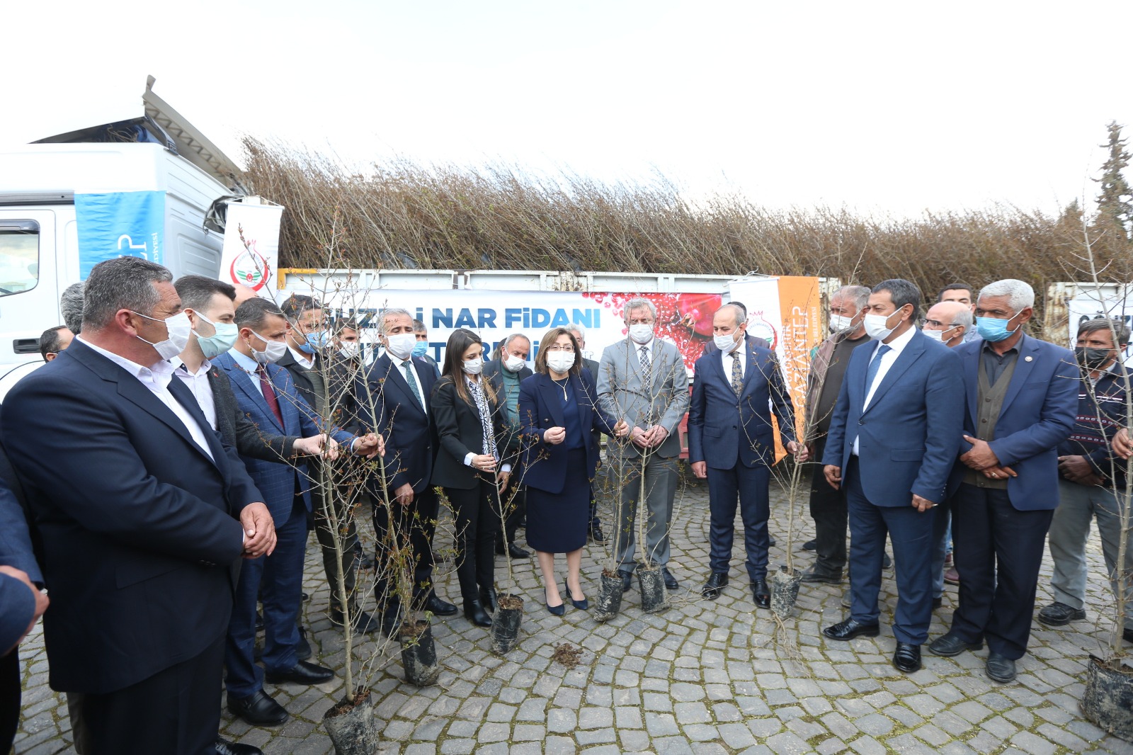 Oğuzeli Fidan Dağıtımı 