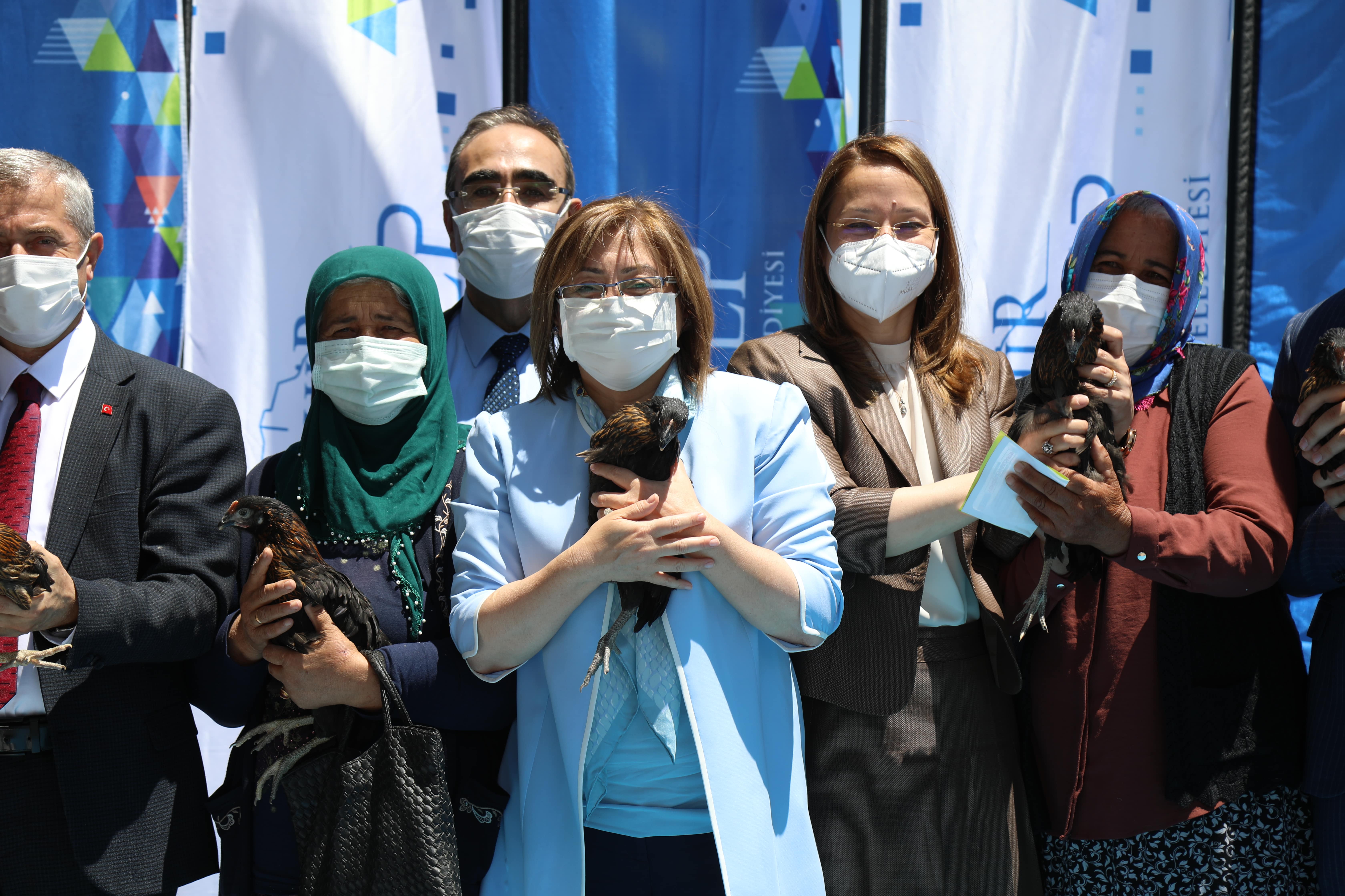 Kapcağız Köyü Tavuk Dağıtım Töreni 