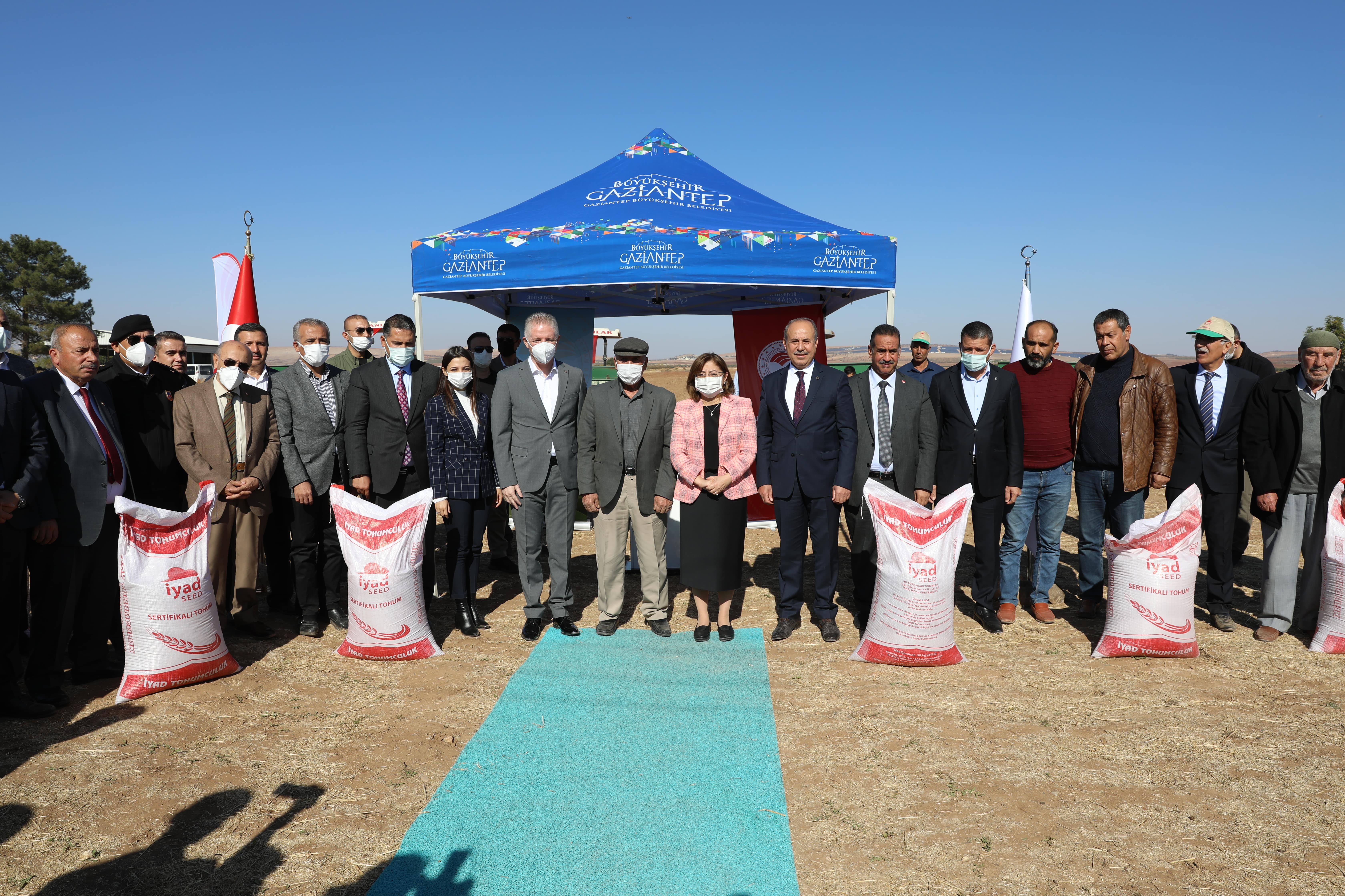 Sertifikalı Mercimek Tohumu Dağıtımı