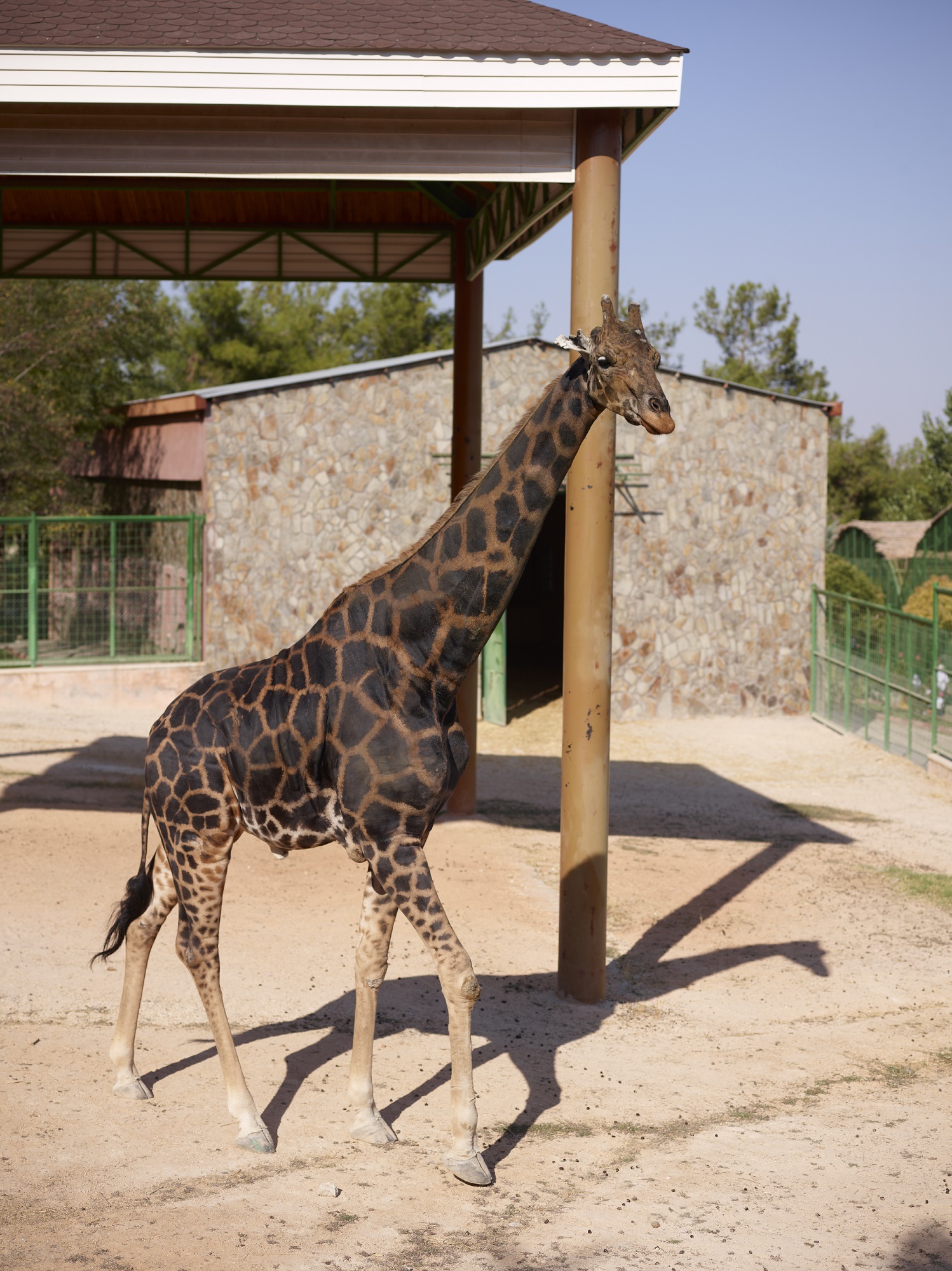 BASIN AÇIKLAMASI - 11.12.2025